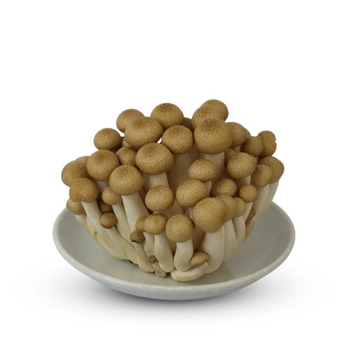 Brown Shimeji 100g