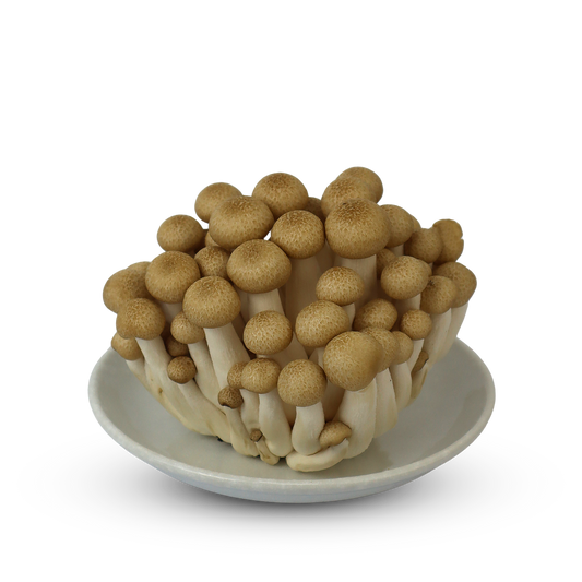Brown Shimeji 100g