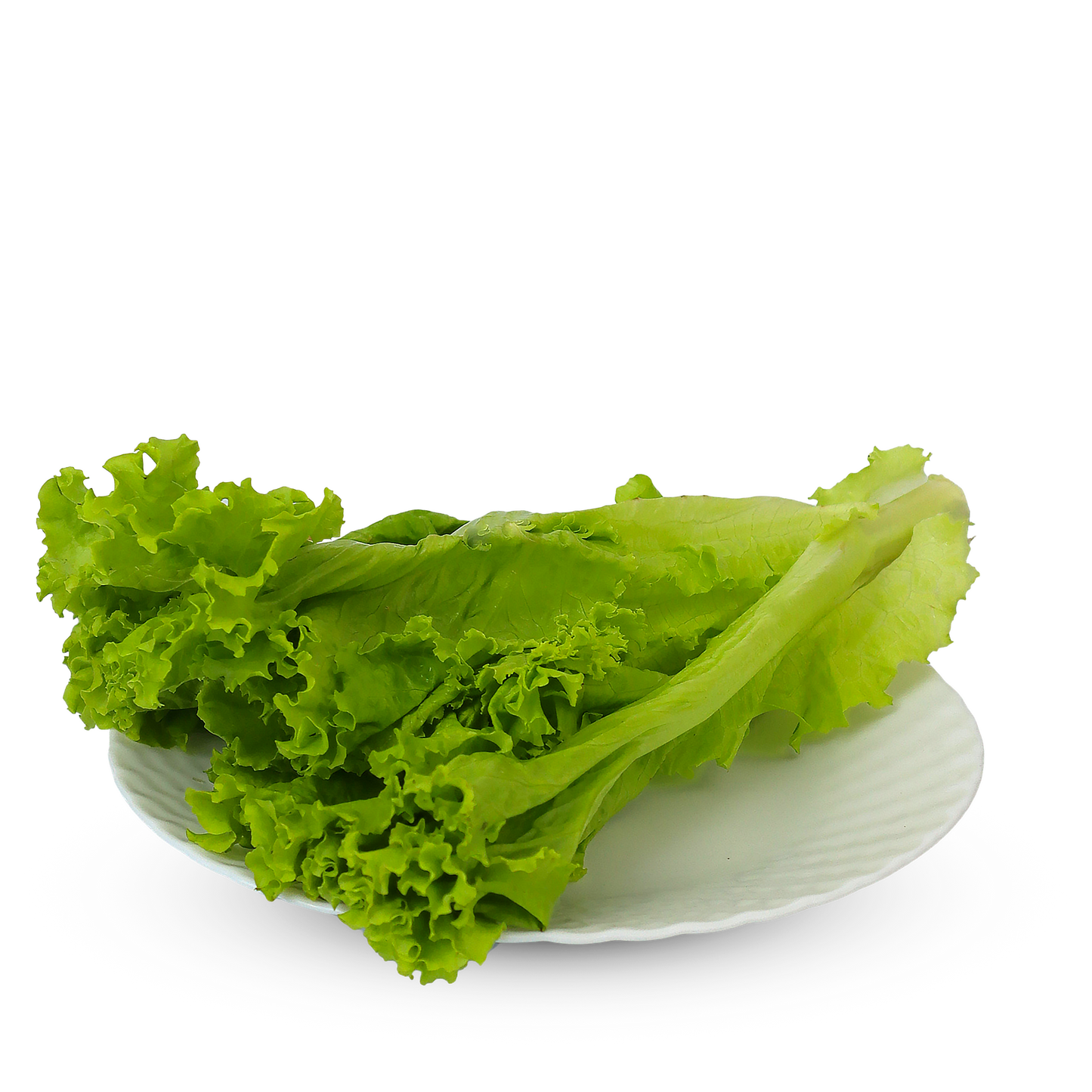 Lettuce Romaine 50g