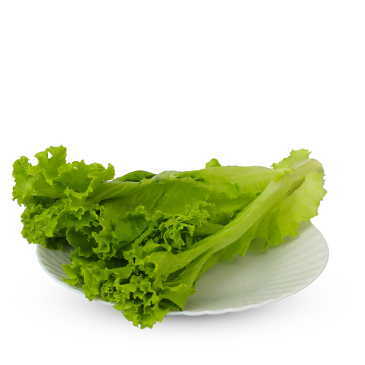 Lettuce Romaine 50g
